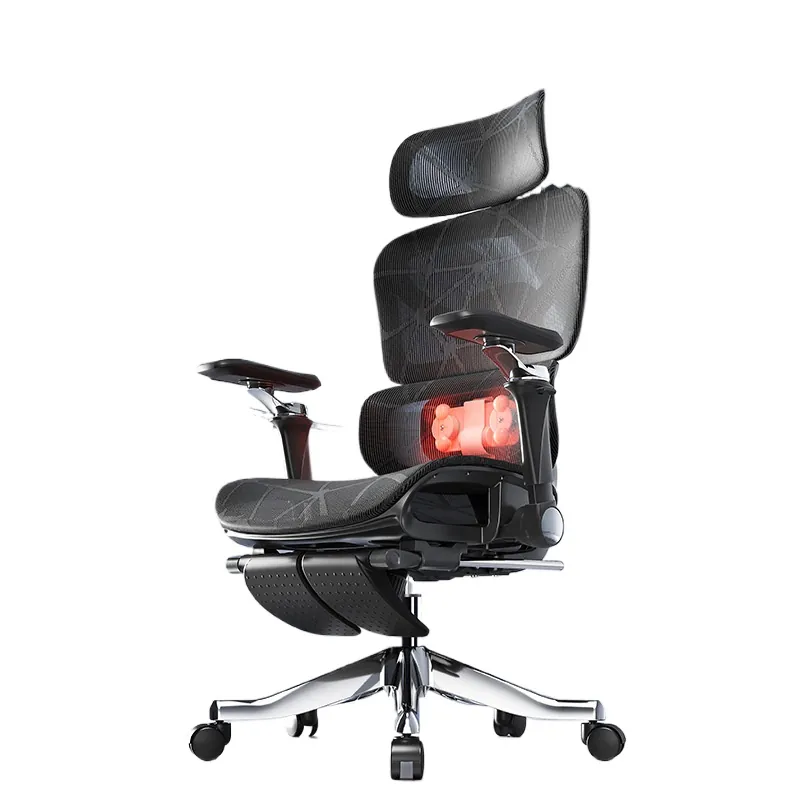 Ergonomic Massage Lumbar Suppo - đánh giá và giá Massage